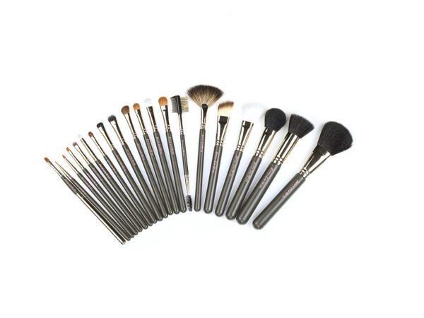 Master Kit - Brushes with Greatness (20 pc. set)